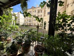 Villa Marina (D15), Condominium #503078131